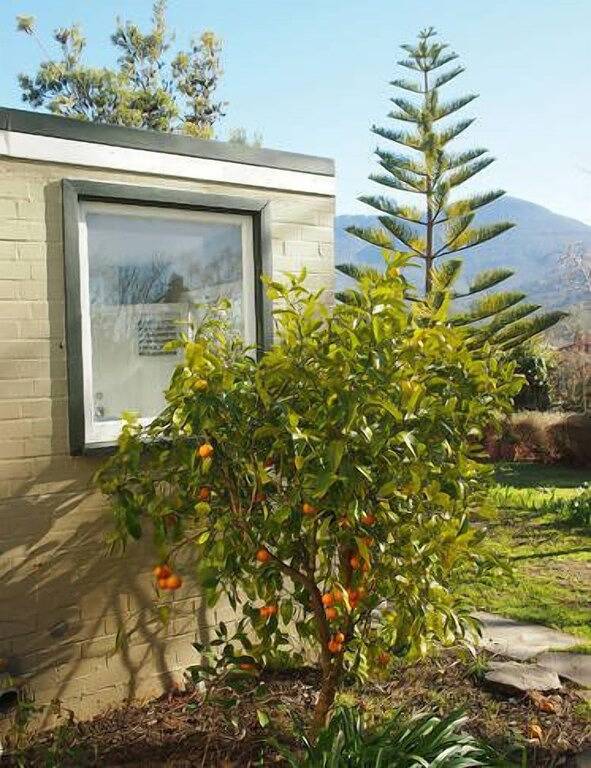 Gîte pour 2 personnes, avec jardin à Hobart - 2