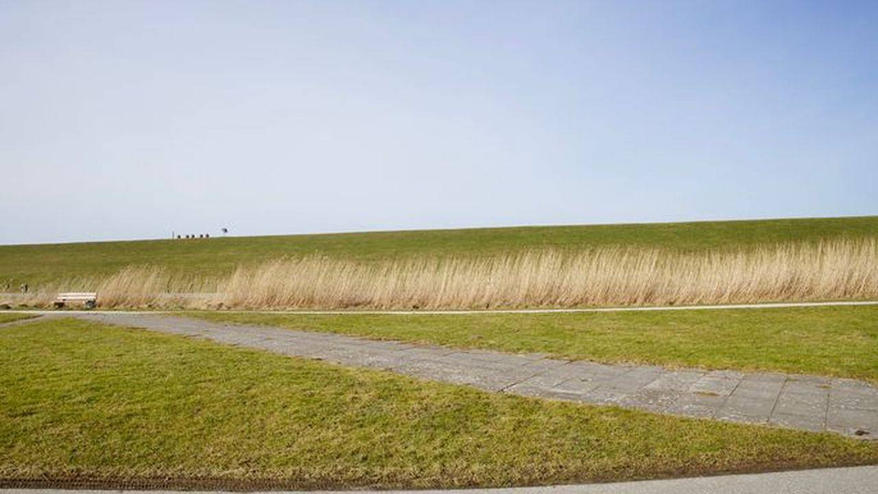 Ferienhaus für 4 Personen (80 m²) in Nordstrand in Nordstrand (Gemeinde), Nordseeküste