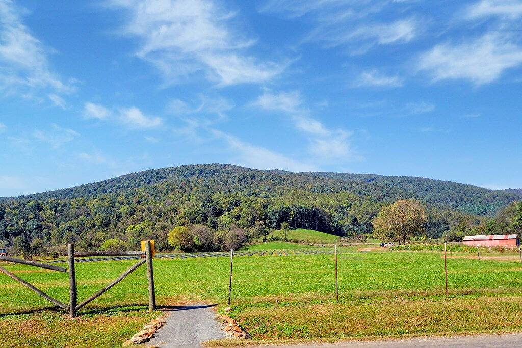 Ganze Wohnung, Carriage House-Apartment-Ensuite Dusche-Modern-Bergblick in Crozet, Albemarle County