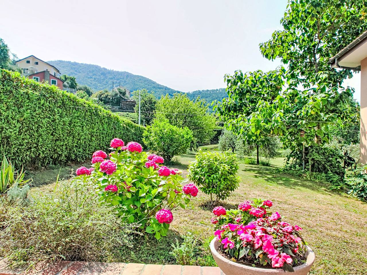 Ricordi in Comeglio, Moneglia