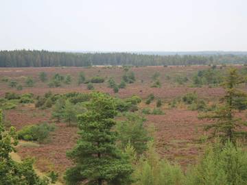 Ferieudlejning til 6 Personer i Vejen, Billede 3