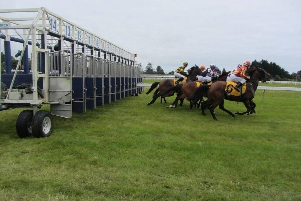 Fab Studio Plus !!- Pukekura Park / Cbd genau dort in New Plymouth, Taranaki