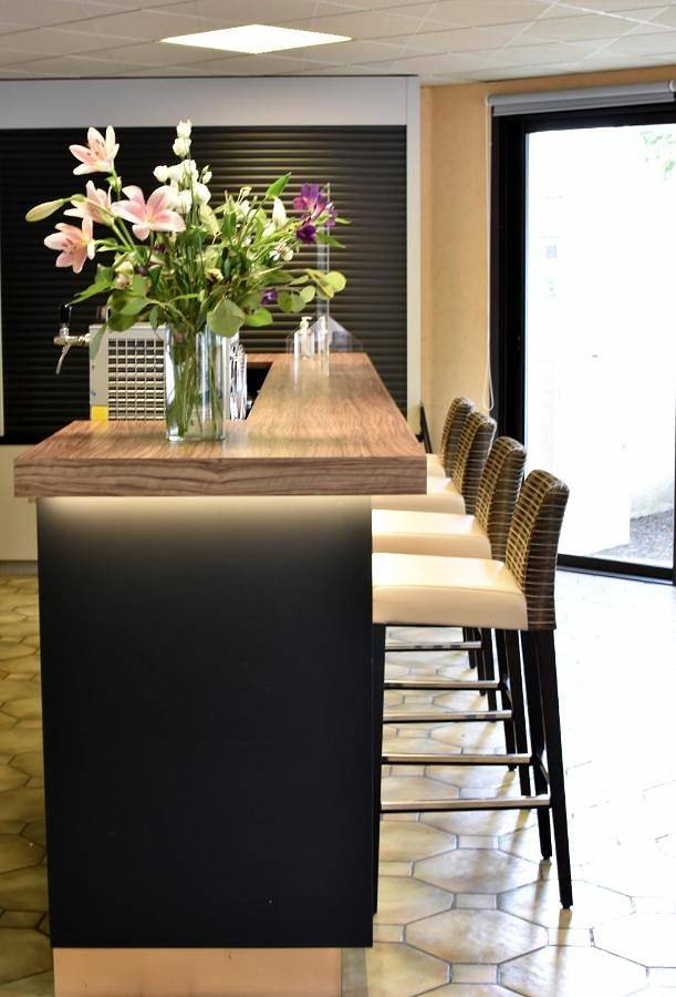Hotel des Lauriers Roses in Bourbonne-les-Bains, Haute-Marne