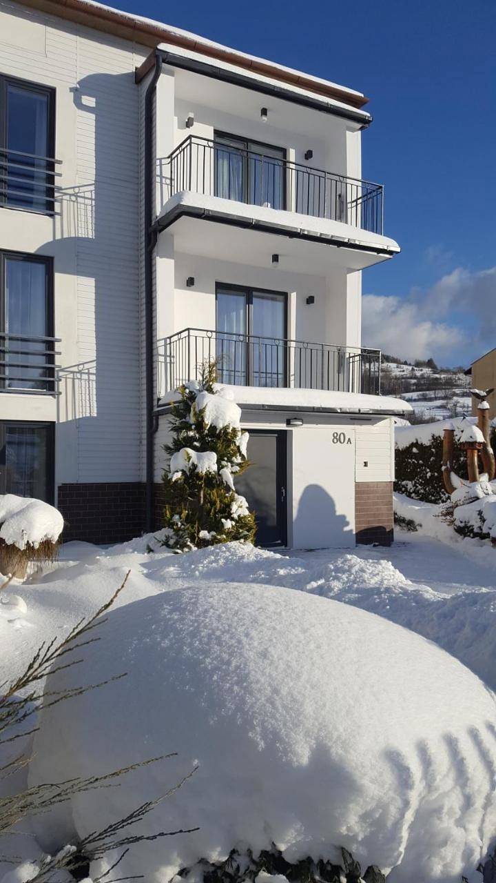 Cały apartament wypoczynkowy, Willa Karo in Muszyna, Karpaty (Polska)