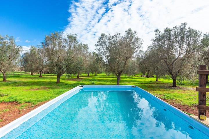 Trullo für 7 Personen, mit Pool in Ceglie Messapica - 3
