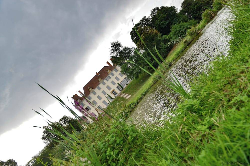 Christmas or New Year in a magnificent Château with accommodation for 35 people in Roanne, Región de Roanne