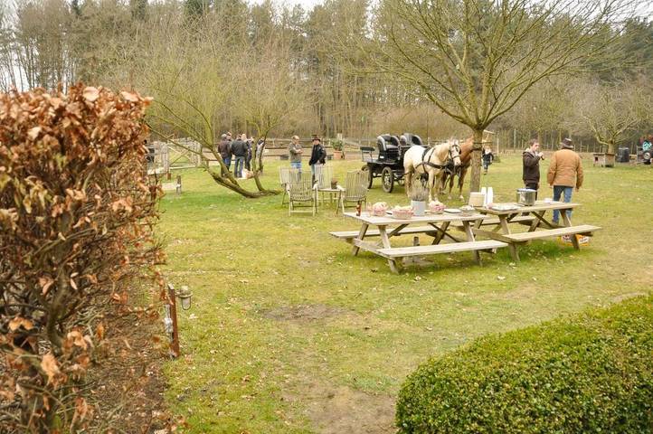Location de vacances pour 2 personnes, avec jardin, animaux acceptés à Herselt - 3