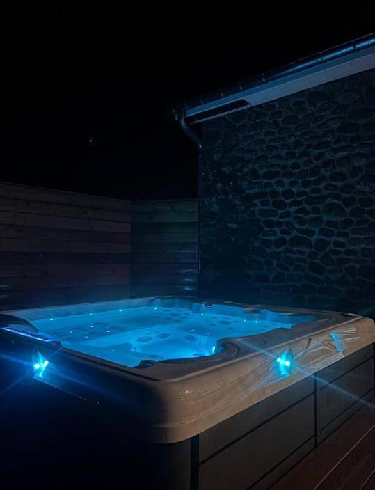 Location de vacances pour 10 personnes, avec jacuzzi ainsi que piscine et terrasse dans Oisseau - 3