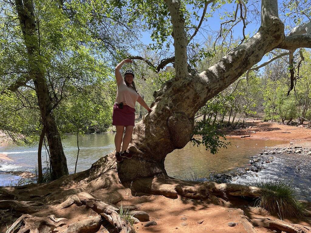 Ganze Wohnung, Wüsten-Juwel im roten Felsenland in Coconino Nationalwald