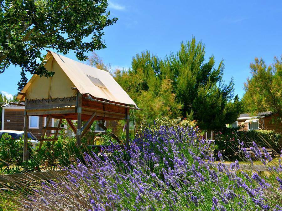 Domaine de la Palme - Tienda de lona y madera 2 personas - Vivac bajo las estrellas in La Palme, Côte d'Améthyste