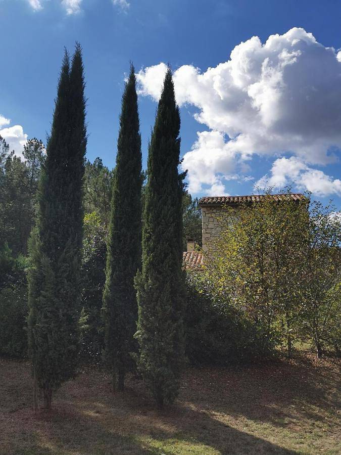 Location de vacances pour 2 personnes, avec jardin et vue ainsi que piscine et terrasse à Fumel - 4