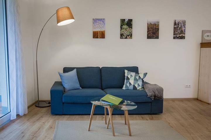 Ganze Wohnung, Ferienwohnung \"Bacchus\" (44qm) in Knetzgau, Fränkisches Weinland