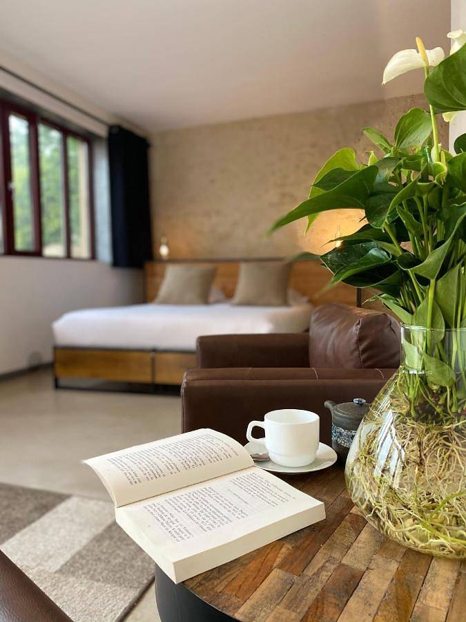 Chambre d’hôte pour 2 personnes, avec vue et jardin à Azay-le-Rideau - 3