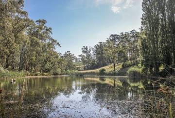 Holiday Home for 10 People in Monbulk, Shire of Yarra Ranges, Photo 4