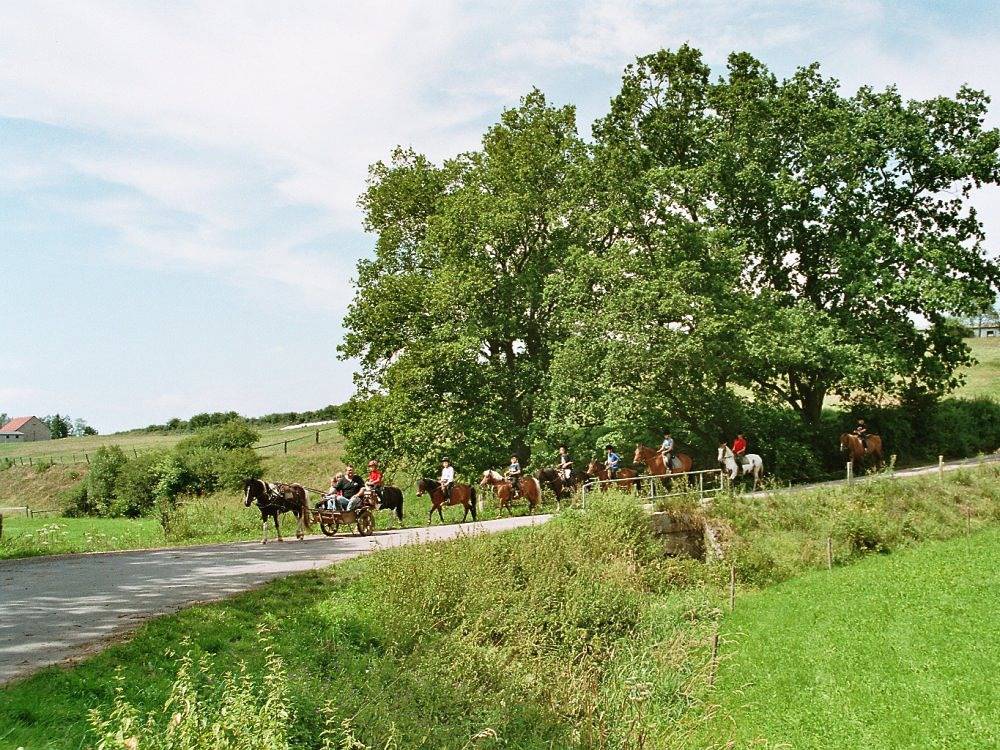 Reiterlandhof - Nr. 6 + 7 Ferienwohnung Schwalbennest in Lichtenfels, Waldecker Land