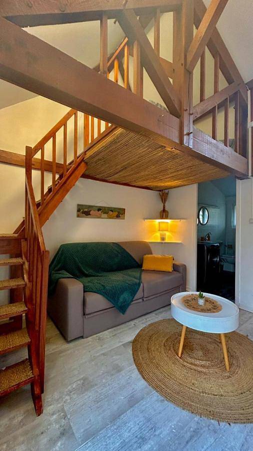 Gîte pour 4 personnes, avec terrasse à Billère - 3