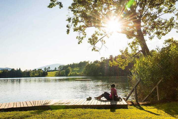 Hotel für 6 Personen, mit Garten und Pool sowie Seeblick, mit Haustier in Kärnten - 3