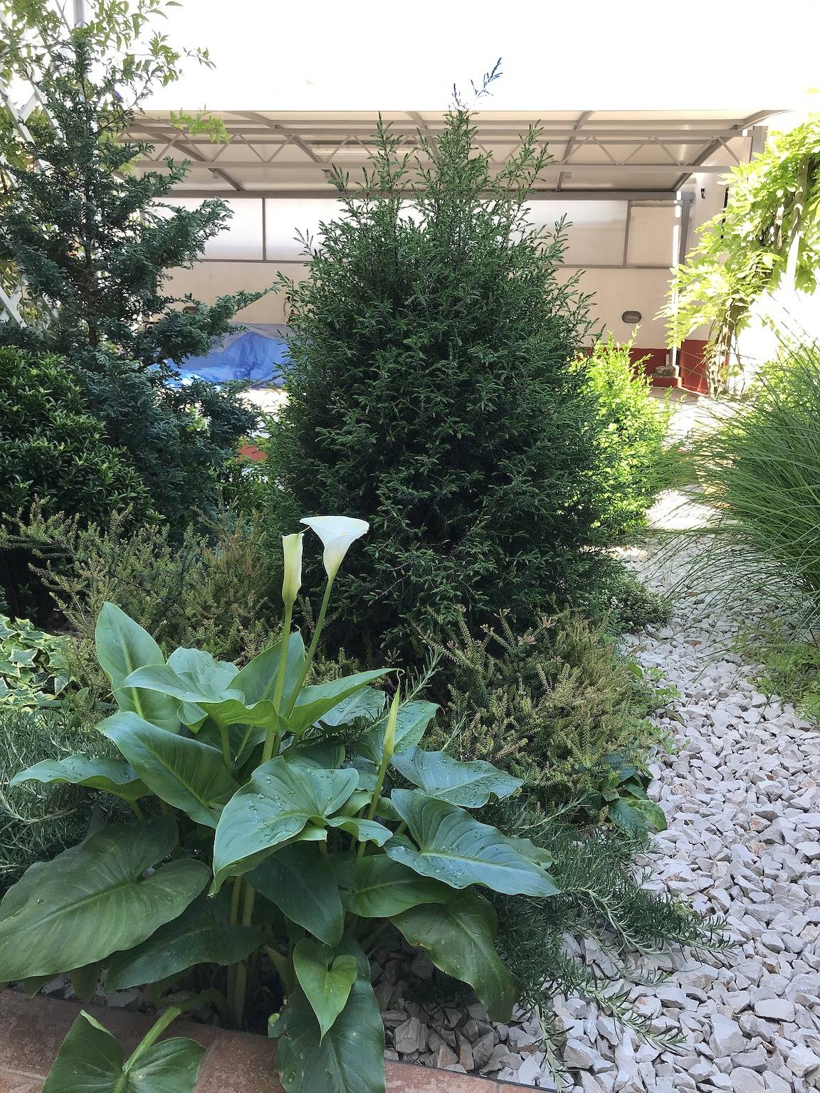 Ganze Wohnung, Studio Appartement mit Balkon Primosten As-19232-a in Primosten, Šibenik-Knin