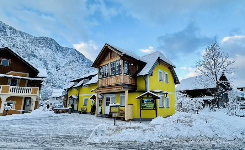Ferienwohnung für 4 Personen, mit Terrasse in Bad Goisern am Hallstättersee