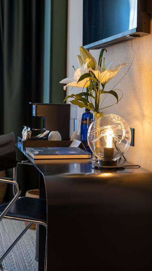 Hôtel pour 3 personnes, avec terrasse et vue ainsi que sauna et piscine, animaux acceptés dans Escaldes-Engordany - 4