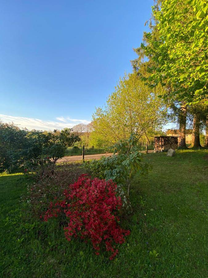 Location de vacances pour 6 personnes, avec vue et jardin à Boisset (Cantal) - 2