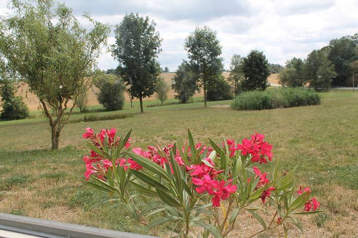 B&B für 3 Personen, mit Garten in Chemnitz und Umgebung - 3