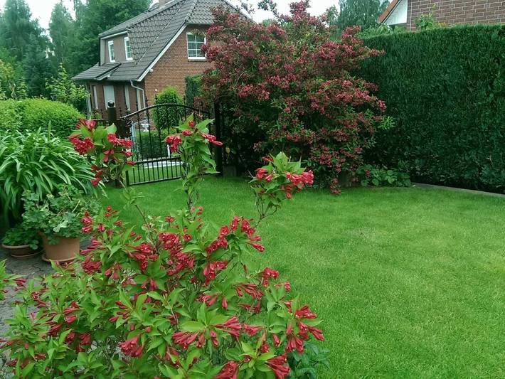 Ferienwohnung für 3 Personen, mit Terrasse und Garten, kinderfreundlich in Malchow - 4