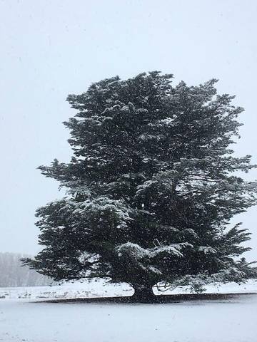 Cottage for 4 People in New South Wales, Australia, Photo 2