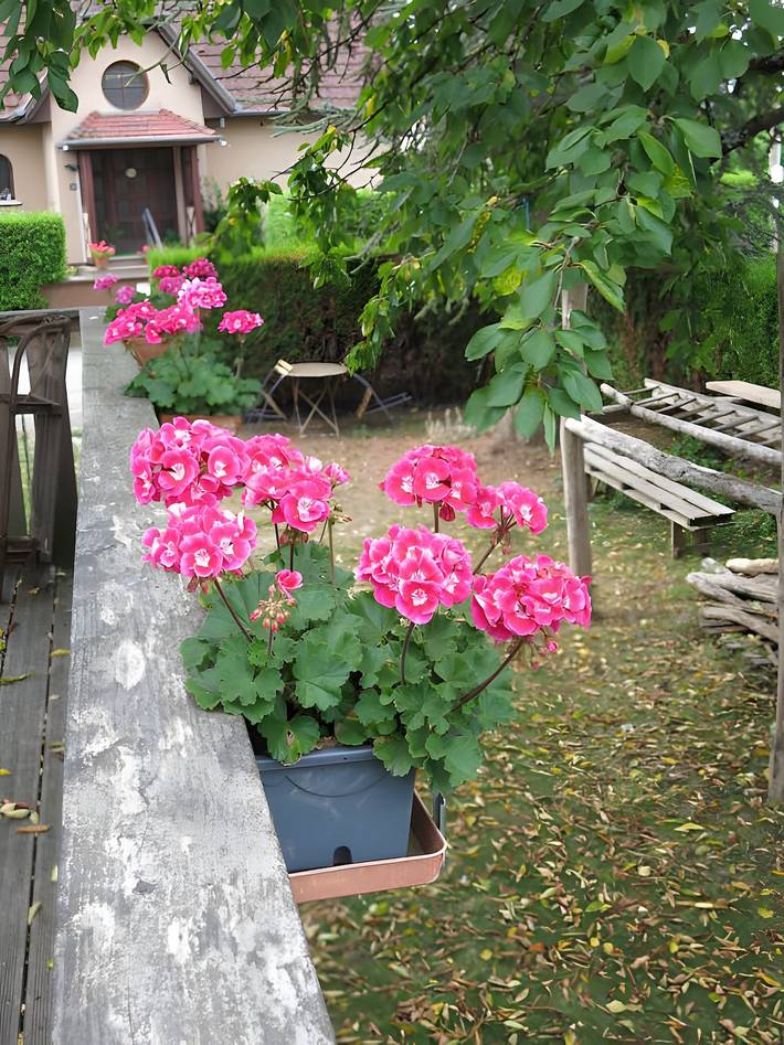 Cottage 'Gîte La Maison À Côté' mit privater Terrasse, Balkon und WLAN in Carspach, Altkirch und Umgebung