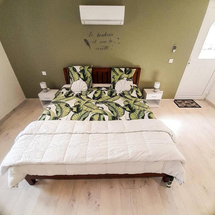 Gîte pour 12 personnes, avec jacuzzi et jardin à Marsolan - 4