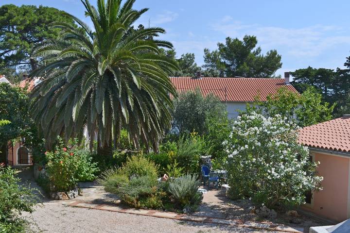 Ganze Wohnung, 1-Zimmer-Ferienwohnung mit Terrasse Veli Losinj, Losinj A-8029-b in Veli Losinj, Lošinj (Kvarner Bucht)