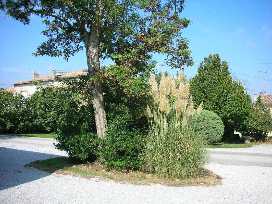 Gite Les Durands in Saint-Félix-Lauragais, Lauragais