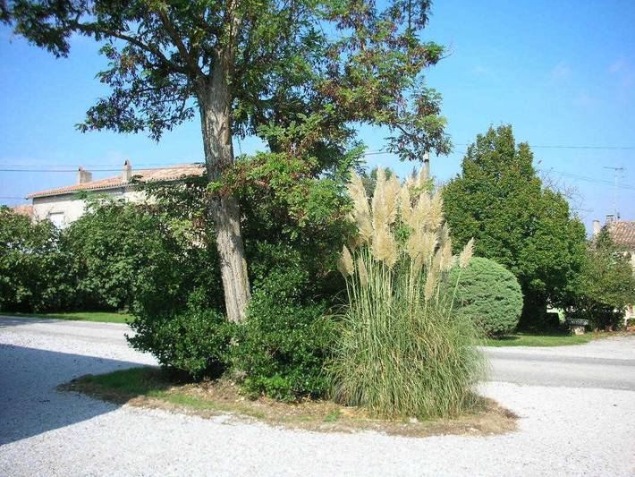 Gîte pour 6 personnes, avec jardin dans Haute-Garonne - 2