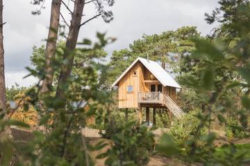 Bungalow voor 5 Personen in Veluwe, Afbeelding 1