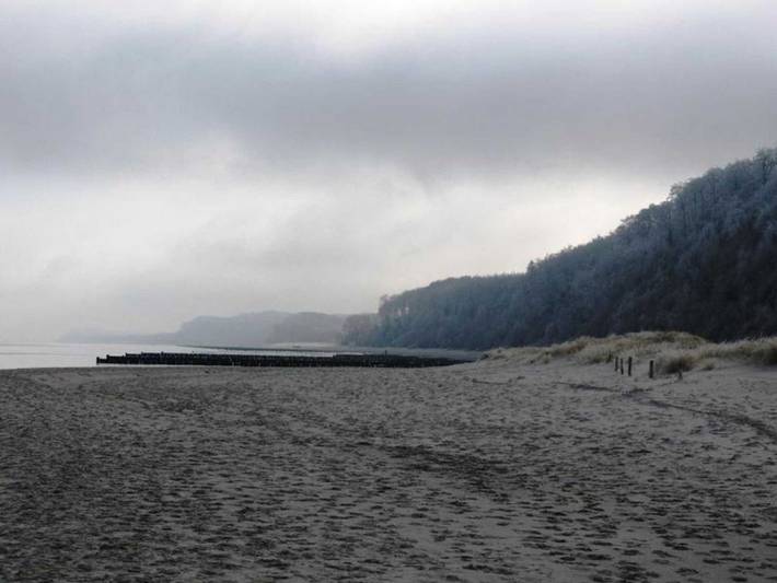 Ferienpark für 5 Personen, mit Garten und Terrasse, mit Haustier in Koserow - 2
