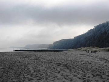 Ferienpark für 6 Personen in Koserow, Usedom, Bild 1