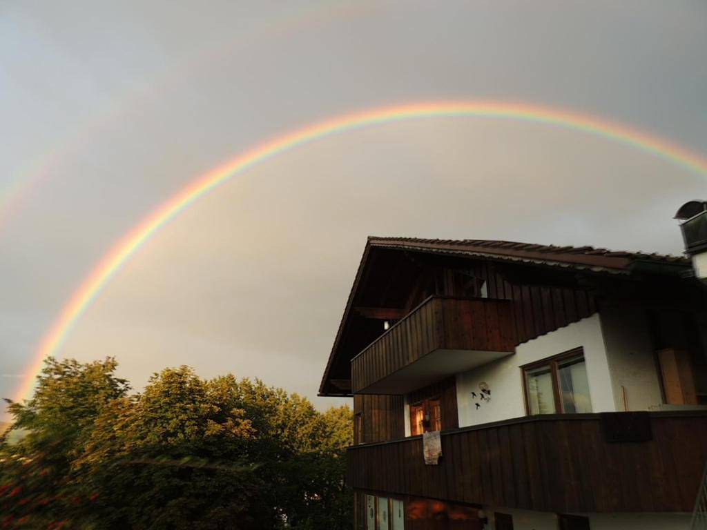 immagine prodotto