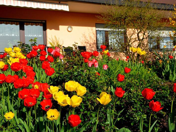Ferienwohnung für 4 Personen, mit Ausblick und Terrasse, kinderfreundlich in Neckargemünd - 3