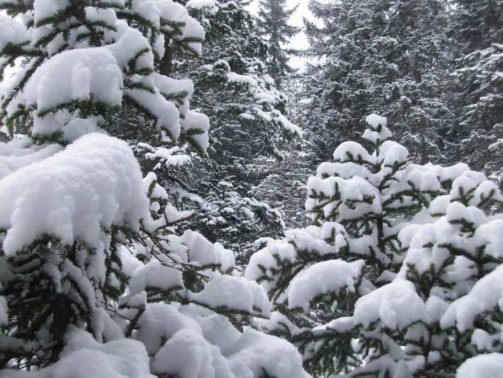 Ferienwohnung für 2 Personen in Ischgl - 3