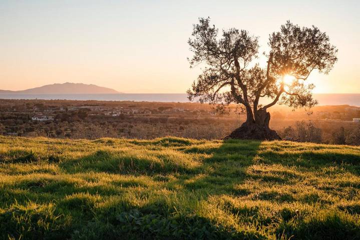 Agriturismo per 3 persone, con giardino e idromassaggio nonché piscina a San Vincenzo