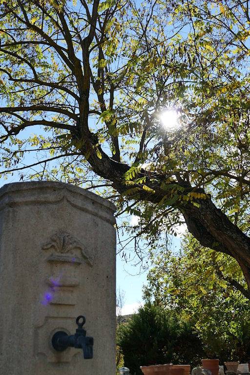Chambre d’hôte pour 3 personnes, avec jardin dans les Alpes-de-Haute-Provence - 2
