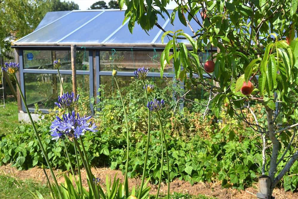 Ecolodge La Vertonne. A romantic getaway, bikes available and a shared garden. in Brem-sur-Mer, Loire Valley