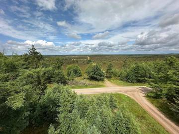 Vacation Rental for 4 Guests in Vejen, Southern Denmark, Picture 3