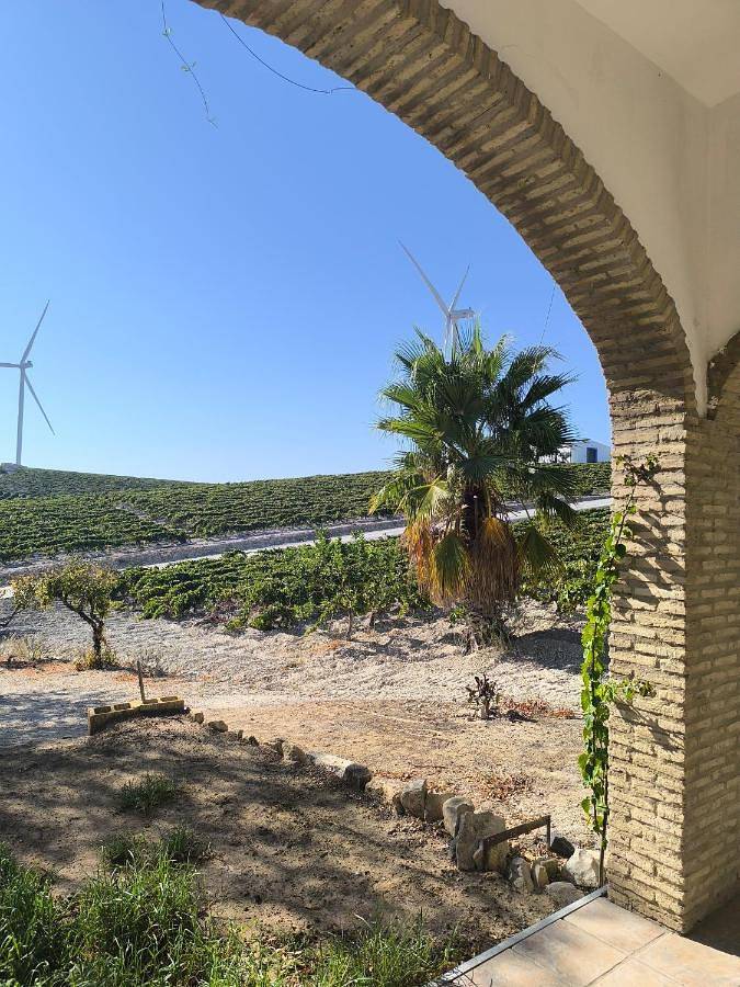 Casa rural para 4 personas, con Terraza además de Jardín y Vistas en Campiña de Jerez - 3