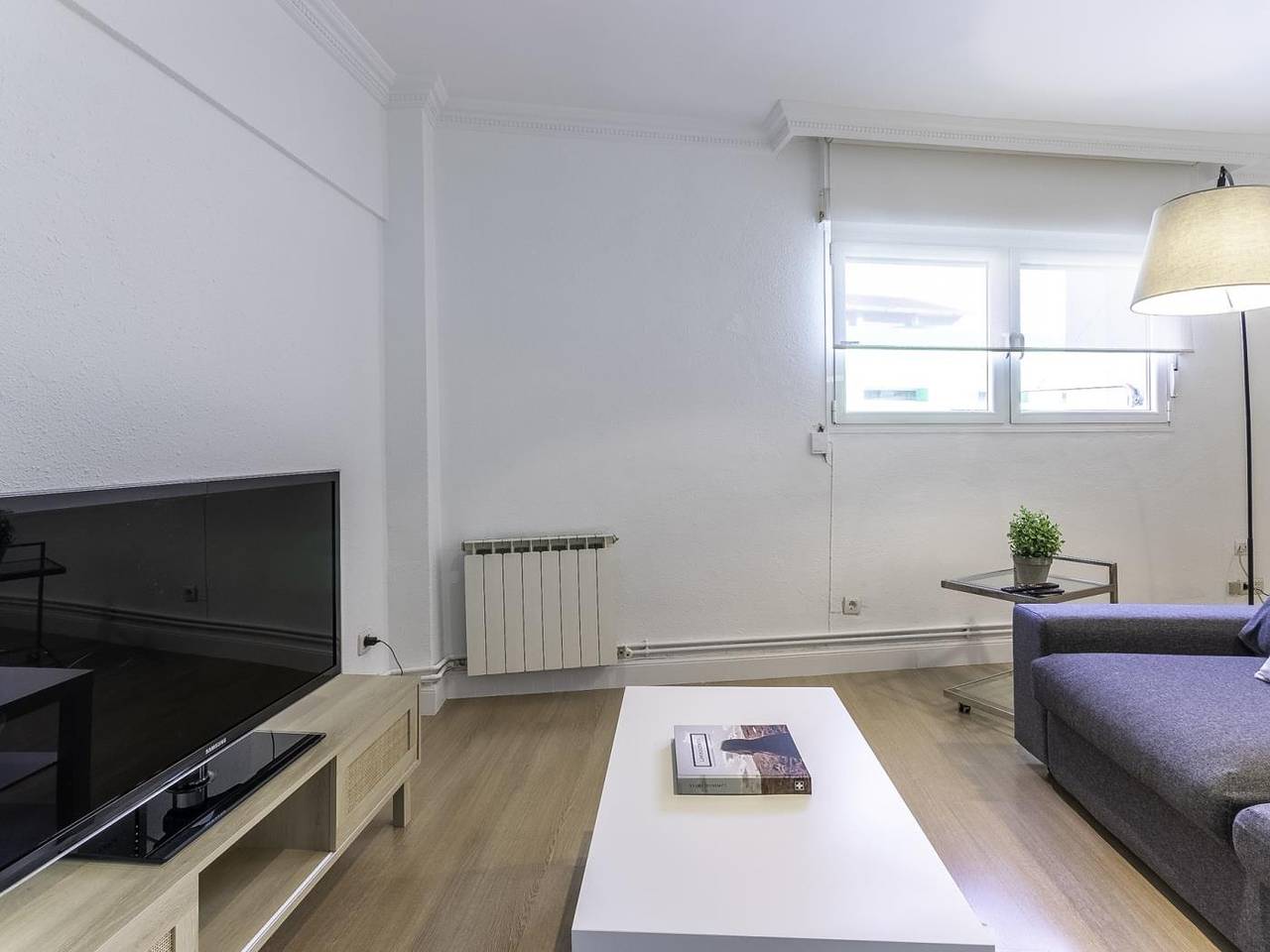 Geheel vakantieappartement, Vakantieappartement voor 3 personen in Bilbao, Biskaje