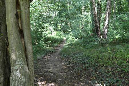 Gîte pour 6 personnes, avec balcon à La Calamine