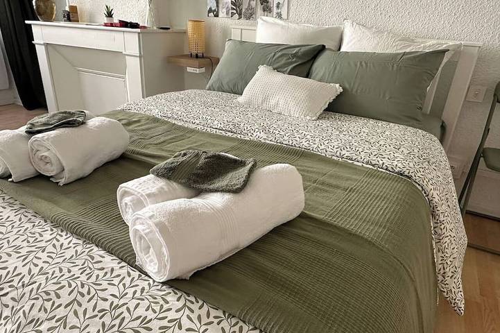 Gîte pour 4 personnes, avec jacuzzi ainsi que sauna et piscine dans Thermes Sarrailh
