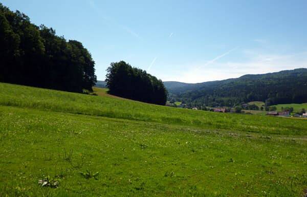 Ganze Wohnung, Feriendorf Ulrichsgrün – Familie Wutz - Feriendorf Ulrichsgrün - Familie Wutz Ferienhaus für 2-4 Personen in Waldmünchen, Ostbayern