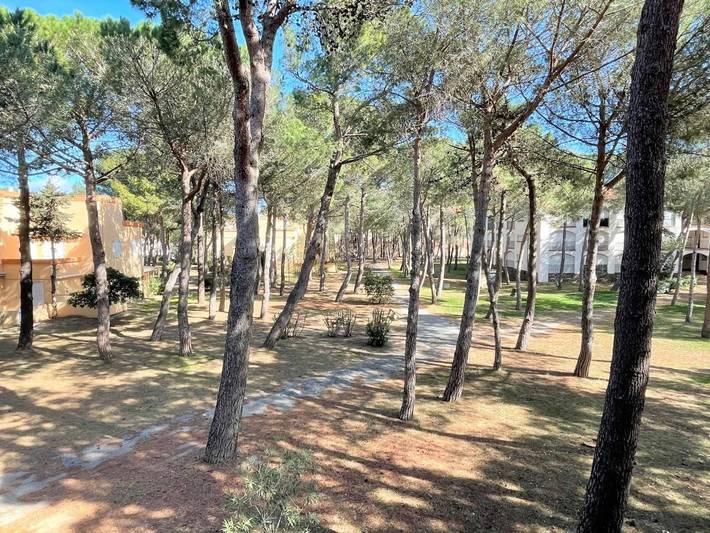 Gîte pour 4 personnes, avec balcon dans Plage des Pins - 2