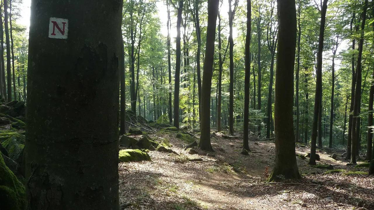 Ganze Ferienwohnung, Ferienwohnung für 4 Personen (42 m²) in Brombachtal in Brombachtal, Odenwaldkreis